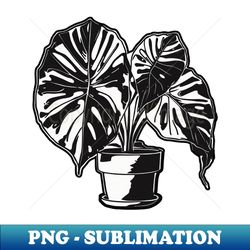Monstera Deliciosa - Creative Sublimation PNG Download - Instantly Transform Your Sublimation Projects