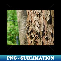 cedar tree bark - instant png sublimation download - defying the norms