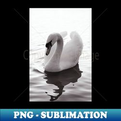 mute swan black and white photography - premium png sublimation file - enhance your apparel with stunning detail