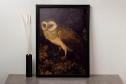 Vintage Owl Canvas,  Vintage Dark Moody, Canvas Wall Art, Antique Bird Painting, Vintage Bird Art.jpg