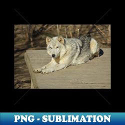 Wolf - High-Resolution PNG Sublimation File - Create with Confidence