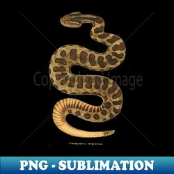 Western rattlesnake - PNG Transparent Sublimation File - Add a Festive Touch to Every Day