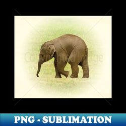 elephant baby - decorative sublimation png file - fashionable and fearless