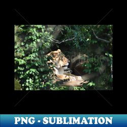 Lioness Through Brush - Premium PNG Sublimation File - Perfect for Sublimation Art