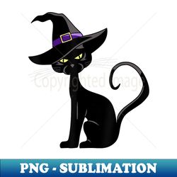 cat in witch hat - halloween spooky horror - png transparent digital download file for sublimation - capture imagination with every detail
