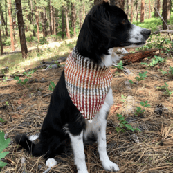 Mountain Dog Bandana Crochet pattern, digital file PDF, digital pattern PDF, Crochet pattern