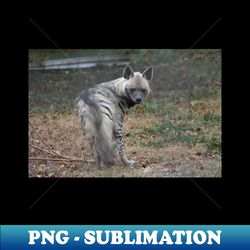 Striped Hyena - PNG Transparent Sublimation File - Fashionable and Fearless