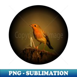 Robin - Exclusive PNG Sublimation Download - Revolutionize Your Designs