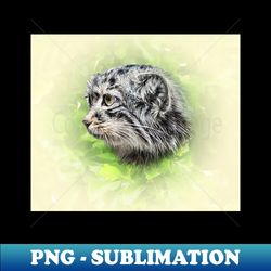 Manul-Pallass cat - Retro PNG Sublimation Digital Download - Fashionable and Fearless