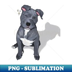 Dog blinking the eye - Exclusive Sublimation Digital File - Transform Your Sublimation Creations