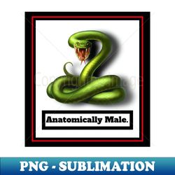 GENDER IDENTITY ANATOMICALLY MALE - Special Edition Sublimation PNG File - Boost Your Success with this Inspirational PNG Download