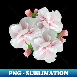 Rose of Sharon - Buds  Blossoms - PNG Sublimation Digital Download - Unleash Your Creativity