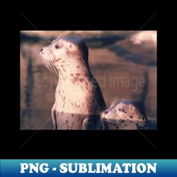 Baby Seals - Premium Sublimation Digital Download - Defying the Norms