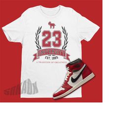 23 Shirt To Match Air Jordan 1 Chicago Lost And Found - Retro 1 Tee - Retro Lost And Found 1s Tshirt - Sneaker Tee