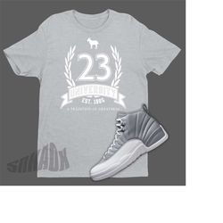 Air Jordan 12 Stealth Match Shirt - Retro 12 Tee - 23 University Stealth 12s Sneaker Match Tee