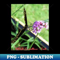 Black Swallow Tail - Elegant Sublimation PNG Download - Defying the Norms