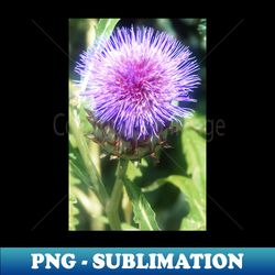 Purple Puff - Elegant Sublimation PNG Download - Boost Your Success with this Inspirational PNG Download