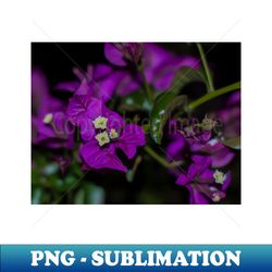 flowers - Exclusive PNG Sublimation Download - Enhance Your Apparel with Stunning Detail