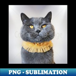 morris the cat - feline photo - decorative sublimation png file - bring your designs to life