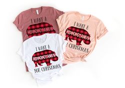 I want a Hippopotamus for Christmas, Hippopotamus Shirt, Christmas Shirt, New Year Shirt,Most Wonderful Time of The Year