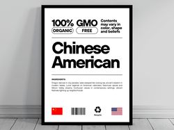 Chinese American Unity Flag Poster  Mid Century Modern  American Melting Pot  Rustic Charming Chinese Humor  US Patrioti