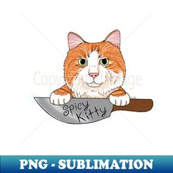 Spicy Kitty - Orange Tabby Catitude - Sublimation-Ready PNG File - Perfect for Personalization