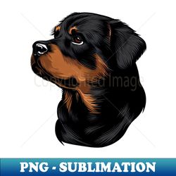 ROTTWEILER DRAWING - Exclusive PNG Sublimation Download - Perfect for Personalization