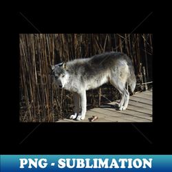 Wolf - Special Edition Sublimation PNG File - Create with Confidence