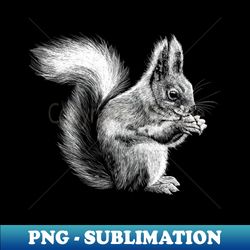 Squirrel - Stylish Sublimation Digital Download - Stunning Sublimation Graphics