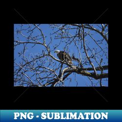 Bald Eagle - Premium Sublimation Digital Download - Unlock Vibrant Sublimation Designs
