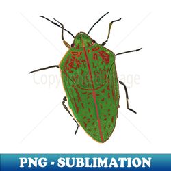 Hawaiian Koa Bug - Premium PNG Sublimation File - Unlock Vibrant Sublimation Designs
