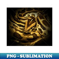Snake - Stylish Sublimation Digital Download - Instantly Transform Your Sublimation Projects