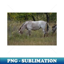 Wild Horse - Modern Sublimation PNG File - Fashionable and Fearless