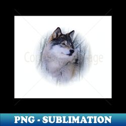 Wolf portrait - Premium Sublimation Digital Download - Defying the Norms