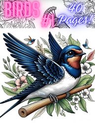 Coloring Book Birds, Birds Coloring Pages, Easy Coloring,Coloring book for kids,Coloring book for adult,Digital Product