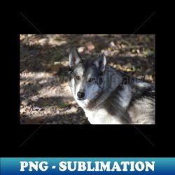 Wolf - Vintage Sublimation PNG Download - Defying the Norms