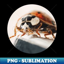 Ladybug Macro Circle Photograph - Modern Sublimation PNG File - Unlock Vibrant Sublimation Designs