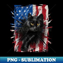Patriotic Black Cat Torn American Flag 4th Of July USA - Sublimation-Ready PNG File - Instantly Transform Your Sublimation Projects