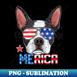 boston terrier 4th of july merica american flag - decorative sublimation png file - create with confidence