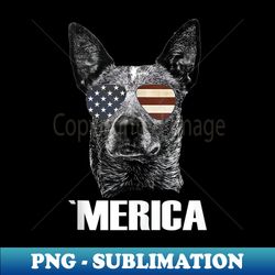 Australian Cattle Dog Merica USA flag sunglasses Heeler - Sublimation-Ready PNG File - Fashionable and Fearless