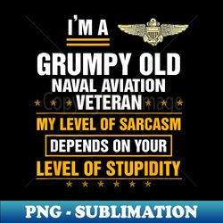 Grumpy Old Naval Aviation Veteran Soldier Funny Christmas - PNG Sublimation Digital Download - Perfect for Sublimation Mastery