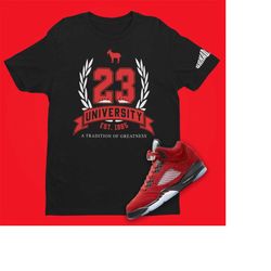 GOAT SHIRT, AIR Jordan Tee, Graphic Shirt Sleeve Popular Design 23 University Goat Michael Jordan Shirt, Modern Style 5
