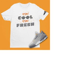 Air Jordan 3 Cool Grey Stay Fresh T-Shirt, Retro 3 Shirt, Cool Grey T-Shirt