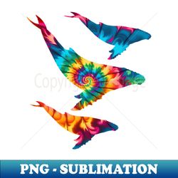 humpback whales rainbow tie dye pattern - instant sublimation digital download - spice up your sublimation projects