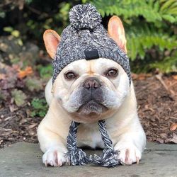 Winter Warm Dog Hats Windproof Knitting French Bulldog Hat For Dogs Chihuahua Hat Fluffy Ball Pet Hat Puppy Accessories