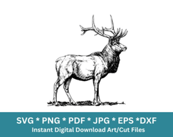 Deer SVG Design for Cricut - SVG file, PNG file, Clipart, Vector Graphic, Digital Download
