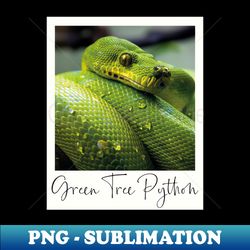 green tree python snake instant photo gift - instant sublimation digital download - fashionable and fearless