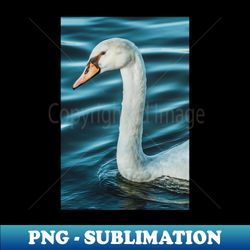 silk waves swan photograph - png transparent digital download file for sublimation - bold & eye-catching