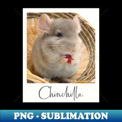 chinchilla instant photo gift - elegant sublimation png download - transform your sublimation creations