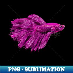 Purple Siamese fighting fish - Professional Sublimation Digital Download - Boost Your Success with this Inspirational PNG Download
